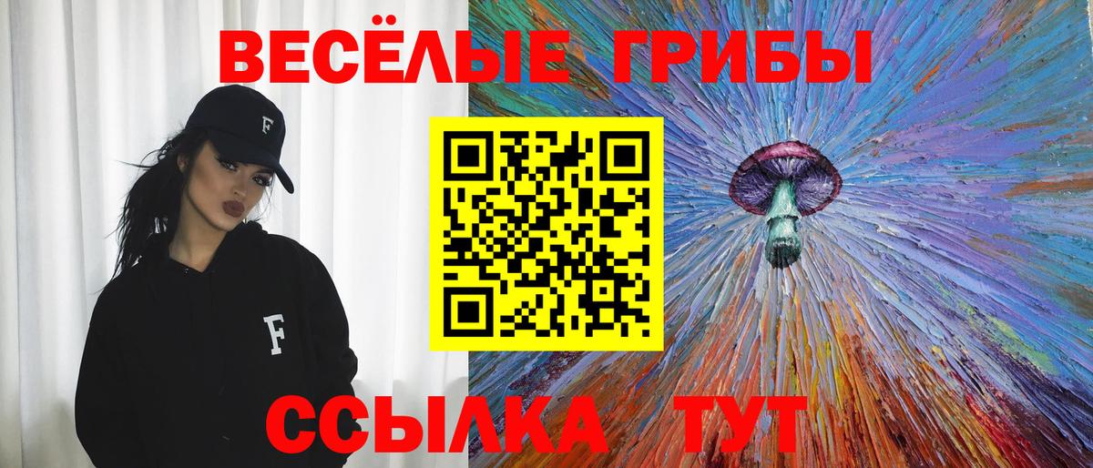 Славгород  Псилоцибиновые грибы Magic Shrooms  Вход с VPN 